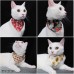 日本製 貓圍巾 唐草緑貓